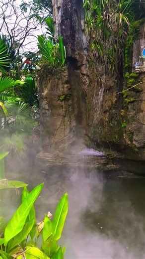 Ever seen a hot spring? ♨️ #HotSpring #Nature #scenicviews #travel #hotsprings #castlehotsprings