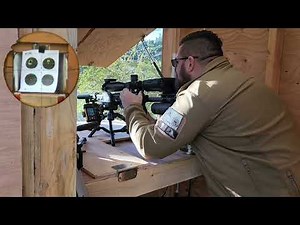 FX PANTHERA 500MM VS EDGUN LESHIY 2 350MM ACCURACY AND SOUND TEST