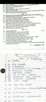 12th std Botany Half yearly Exam December-2025 Original Question paper Pure Science 12th Botany EM-3