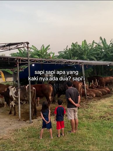 Hilarious Funny Animal Video of Flying Two-Legged Cows | Farm Animals, Nature