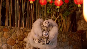 Dancer Performing the Lion Dance - Free Stock Video
