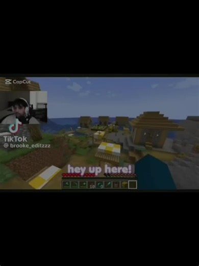 #CapCut #minecraft #walibear alibear