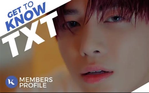 【TXT】成员资料介绍 (身高体重，出生日期，队内担当等等)