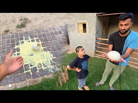 Ostrich ka Anda Le k Aya Or Toot Gea😂