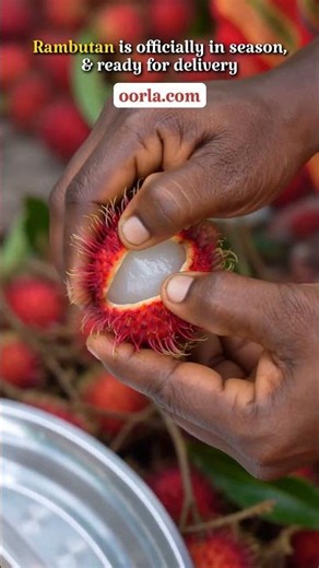 Fresh Rambutan Harvesting 🔴 Juicy Tropical Fruit Direct From Farm! | Order on Oorla.com