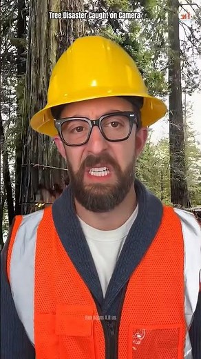 Tree Disaster Caught on Camera 🌲