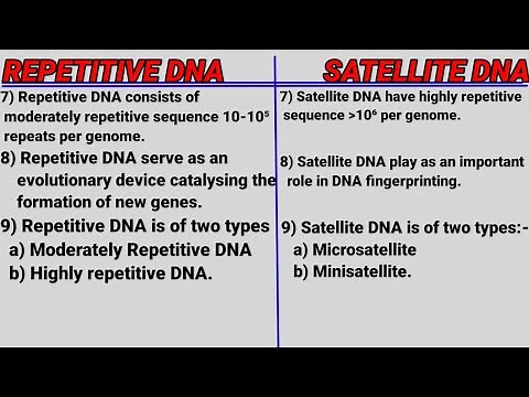 Repetitive DNA and Satellite DNA ( Notes with difference)