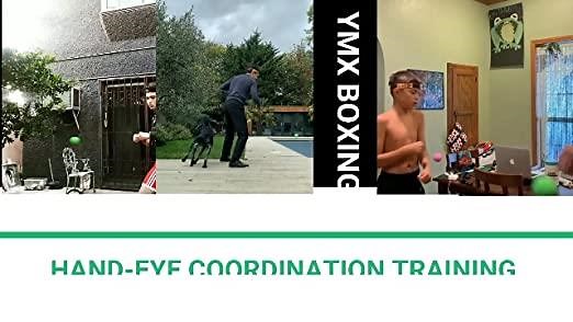 YMX BOXING Reflex Ball