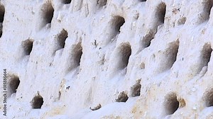 Colorful Southern Carmine Bee-eaters leave their cliffside burrows