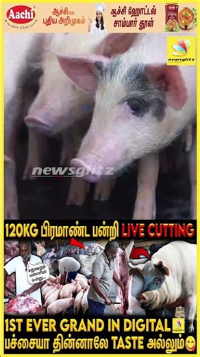 🐷Pig Farm Live Vist 🔥📸😱 பன்றி பண்ணையில் ஒரு நாள்💪🐷 | Pig Farm Meat Processing💯