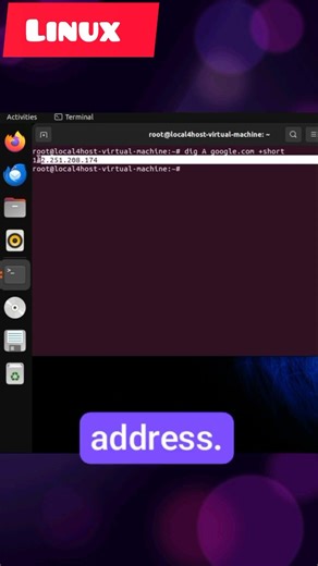 Find Any Website’s IP in 5 Seconds! #linux #web #webdevelopment #ip #ipv4 #ipv6 #webdeveloper