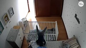 This kid is going places, he's starting by getting out of his crib. | USA TODAY Video