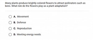 Many plants produce brightly colored flowers to attract pollina... | Filo