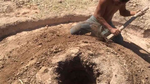 They dug a secret underground snail house, and the walls nearly shifted