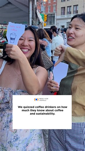 We quizzed coffee drinkers on how much they know about coffee and sustainability. Would you have gotten all the answers right? ☕️ Many leading coffee chains have stopped charging extra for plant-based milk, but some are lagging behind. We're calling on 7 Brew Coffee, Bluestone Lane, and Biggby Coffee to catch up and offer plant-based milk to customers at no extra charge—join us: MercyForAnimals.org/DitchTheFee #MercyForAnimals #PlantBased #Coffee #Vegan #VeganMilk #DairyMilk #DairyFreeMilk #Plan