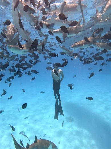 Azul Freediving on Reels