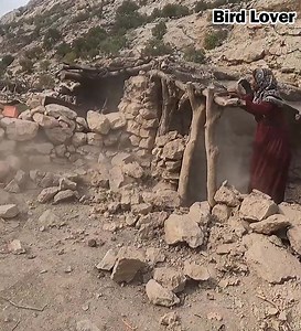 The problems of nomadic life on a rainy day in the mountains | Bird Lover