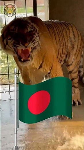 What Is the National Animal of Bangladeh?