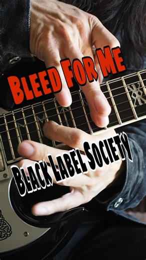 Black Label Society / Zakk Wylde - Bleed For Me : by Gaku #zakkwylde #blacklabelsociety