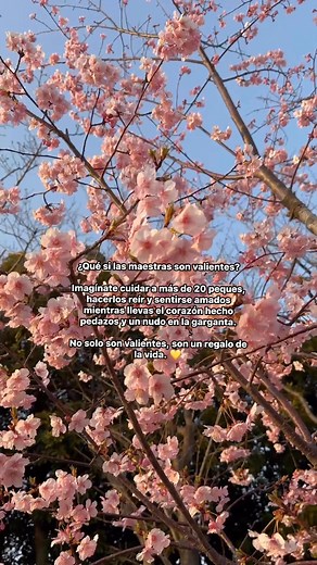 13K views · 276 reactions | ¿Qué si las maestras son valientes? Imagínate cuidar a más de 20 peques, hacerlos reír y sentirse amados mientras llevas el corazón hecho pedazos y un nudo en la garganta. No solo son valientes, son un regalo de la vida.  #maestros #maestrascreativas #maestrajardinera | Miss Eve | Facebook