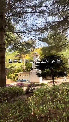 Icheon City Tour for 5,000 won 🚌 Have you been there?