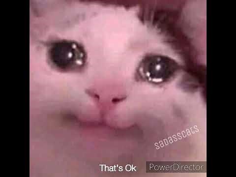 1 hour of meme songs!