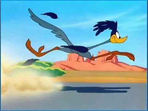 Road Runner goes meep meep