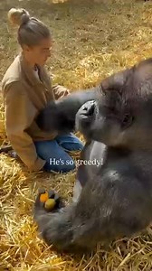 GREEDY GORILLA #viral #omg #amazing | Julia