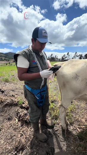 @Medical VetMed @Servicios Vet. El Rosario @Good Dogtor ClinicaVeterinar @_Ing.Mayra_Coro @JoseElias1992 @El Dok juan @Idelmar Barragán @Ange😇 @Francisco Ríos @Ing. Julio Aguagallo #chimborazo_riobamba_ecuador #ecografia #tendencia #viraltiktok #reproduccion