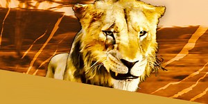 Mufasa: The Lion King: Ending Explained
