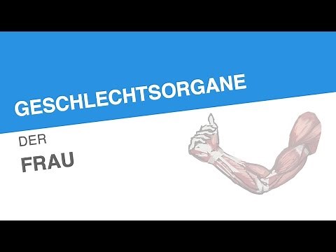 GESCHLECHTSORGANE DER FRAU | Biologie | Biologie des Menschen (Mittelstufe)