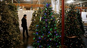 Real versus fake Christmas trees: Which is more environmentally friendly?