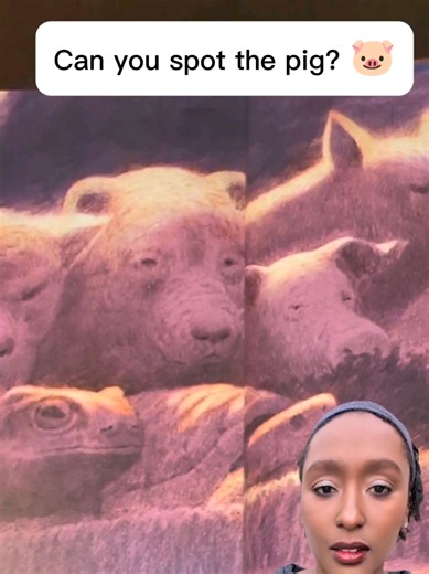 The Dream: An Eco-Conscious Wordless Picture Book