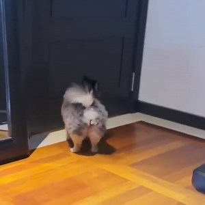 naku kung di ka lang talaga cute yeontan 🥹 ctto. ~KookieWifeu💜 | BTS with LUV⁷