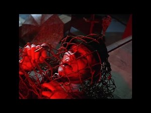 Bruce Wayne in Peril 1B