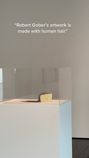 The Menil Collection on TikTok