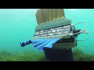 Four-finned robot swims like a cuttlefish
