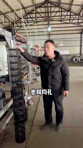 Black Chain Link Fence Introduction | Uniform Mesh Size Woven Wire Roll | DB Fencing Factory