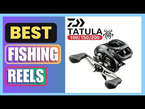 Best DAIWA TATULA 100 150 200 300 Baitcasting Reel Fishing