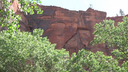 Night Skies - Zion National Park (U.S. National Park Service)