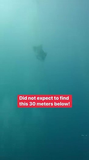 Why Mindoro is one of the greatest islands in Philippines! 30 meters below I found this! Welcome to the diving capital of the Philippines - Puerto Galera. Thanks Marco of Freediving Puerto Galera for showing the best spots! | Wil Dasovich