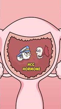 Why do you get morning sickness?#shorts #funny