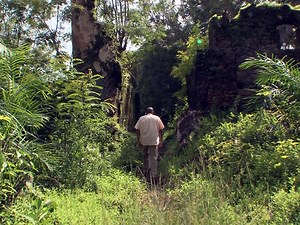 On assignment: Journey to Bunce Island