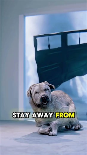 Tornado Safety in 60 Seconds – What You Must Do 🌪️