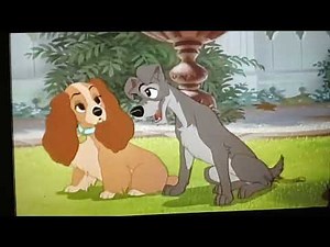Lady and The Tramp 50th Anniversary Edition DVD Trailer (HD) (2005)