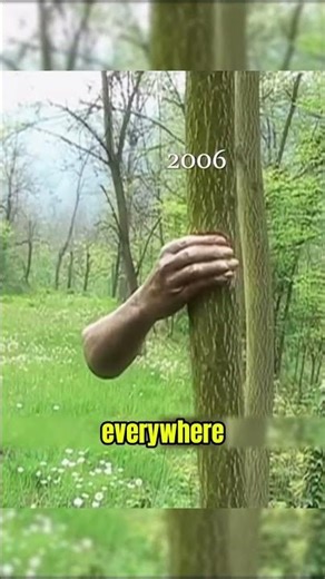 The Tree That Swallowed a Human Hand 😳🌳
