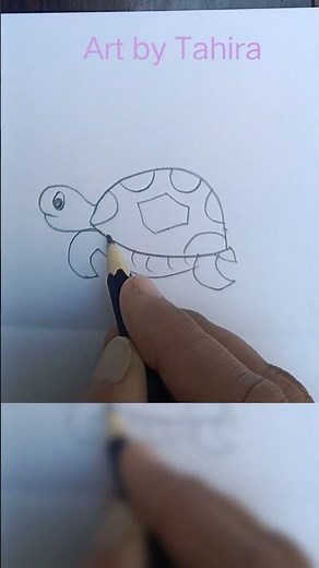 Realistic Turtle Pencil Drawing ✏️🐢 | Easy Step-by-Step Sketch #Shorts #Drawing