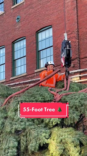 Trinity Square Gets Ready for the Holidays with a 55-Foot Christmas Tree 🌲