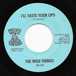 The Wild Things - I'll Taste Your Lips / Summer's Gone