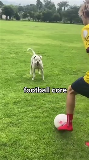 football core